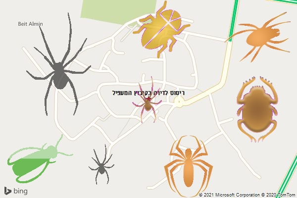 ריסוס לדירה בקיבוץ המעפיל