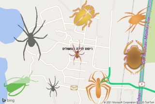 שירות ריסוס בנחשולים - ריסוס לדירה בנחשולים