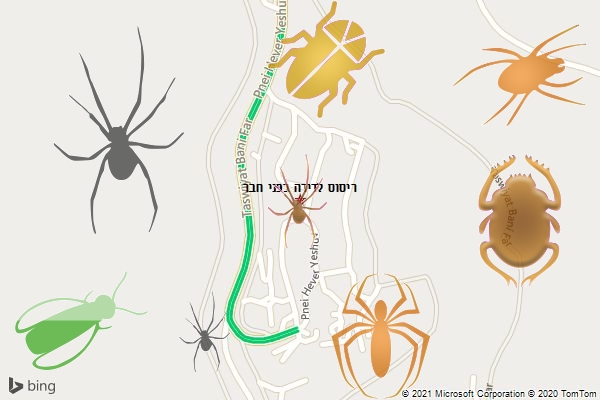 ריסוס לדירה בפני חבר
