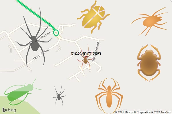 ריסוס לדירה בלבנים