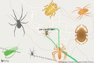 שירות ריסוס בייט״ב - ריסוס לדירה בייט״ב