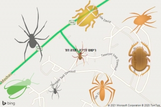 שירות ריסוס בשדה דוד - ריסוס לדירה בשדה דוד