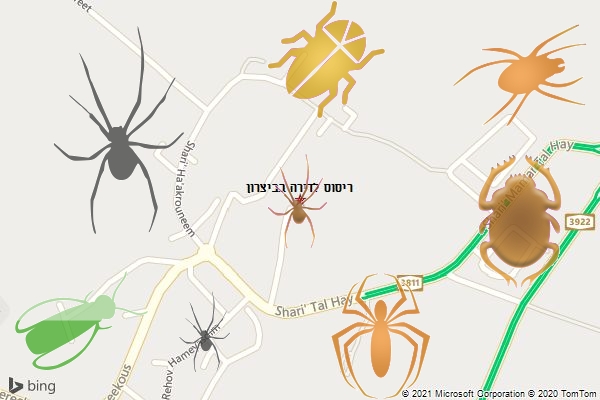 ריסוס לדירה בביצרון