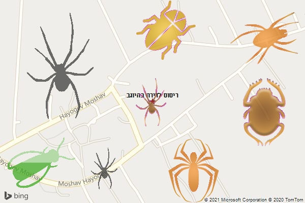 ריסוס לדירה בהיוגב