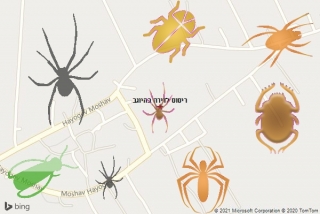 שירות ריסוס בהיוגב - ריסוס לדירה בהיוגב