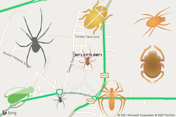 ריסוס לדירה בינוב