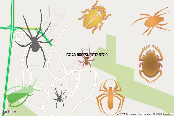 ריסוס לדירה בלהבות חביבה