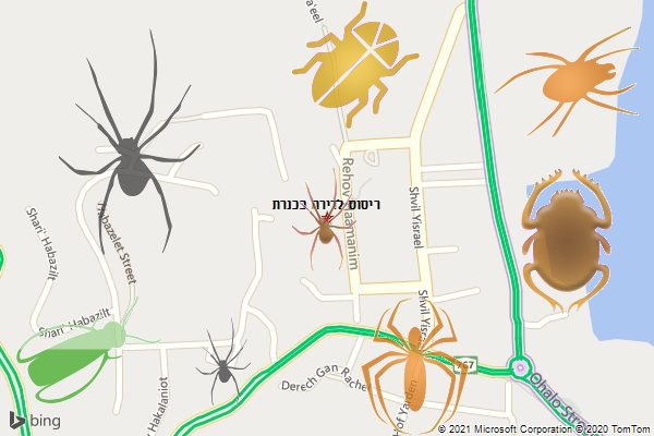 ריסוס לדירה בכנרת