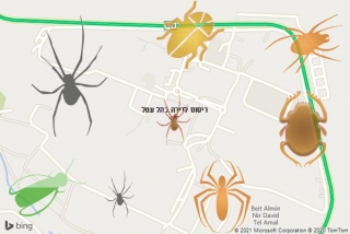 שירות ריסוס בתל עמל - ריסוס לדירה בתל עמל