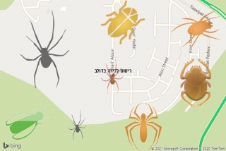 שירות ריסוס בדולב - ריסוס לדירה בדולב