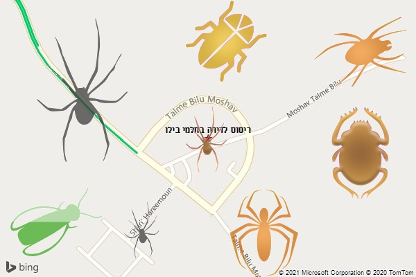 ריסוס לדירה בתלמי בילו