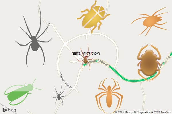 ריסוס לדירה בזוהר