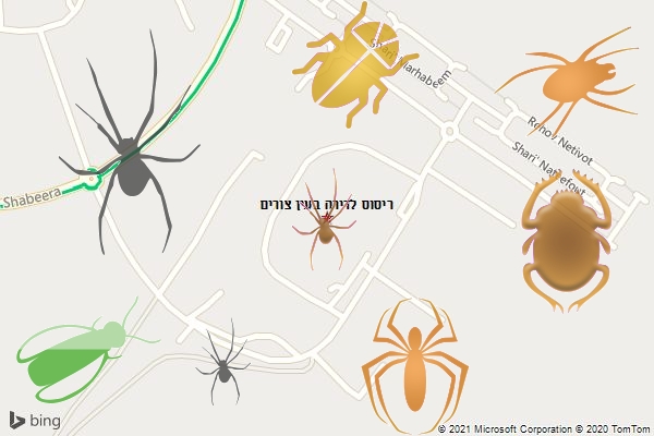 ריסוס לדירה בעין צורים