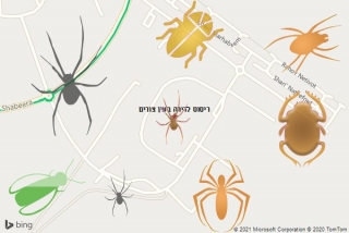 שירות ריסוס בעין צורים - ריסוס לדירה בעין צורים