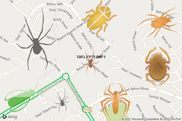 ריסוס לדירה בחבר