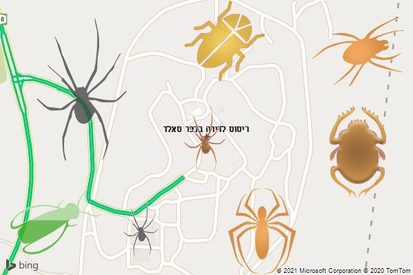 ריסוס לדירה בכפר סאלד