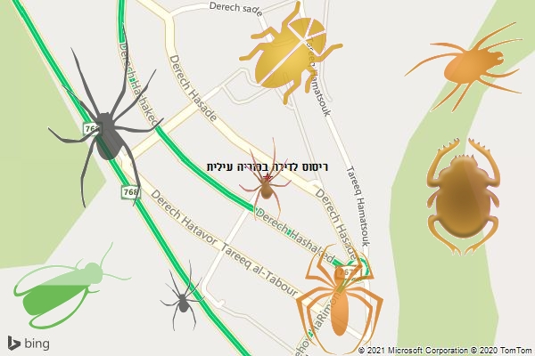 ריסוס לדירה בפוריה עילית
