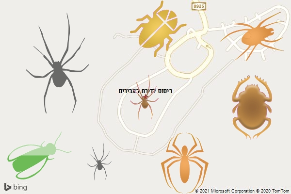 ריסוס לדירה באבירים