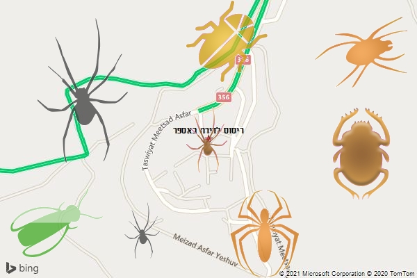 ריסוס לדירה באספר