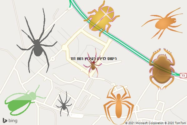 ריסוס לדירה בקיבוץ רמת דוד