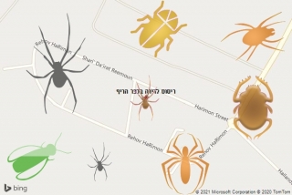 שירות ריסוס בכפר הריף - ריסוס לדירה בכפר הריף