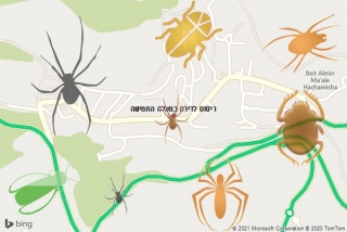שירות ריסוס במעלה החמישה - ריסוס לדירה במעלה החמישה
