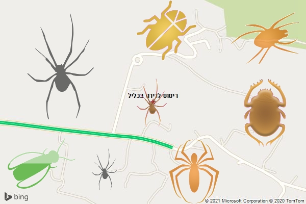 ריסוס לדירה בכליל