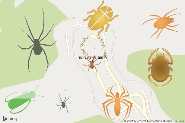 ריסוס לדירה ביעד