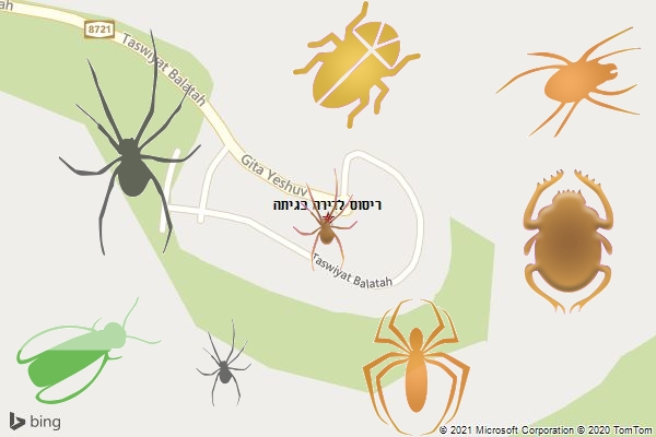 ריסוס לדירה בגיתה