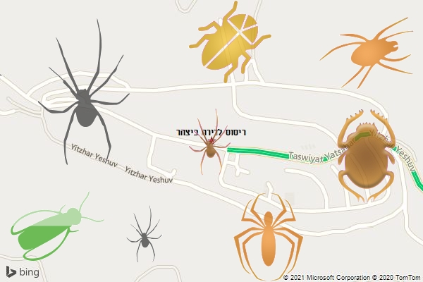 ריסוס לדירה ביצהר