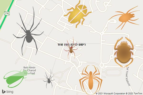 ריסוס לדירה בעין חרוד