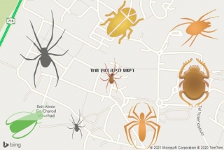 שירות ריסוס בעין חרוד - ריסוס לדירה בעין חרוד