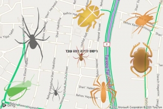 שירות ריסוס בנוה עובד - ריסוס לדירה בנוה עובד