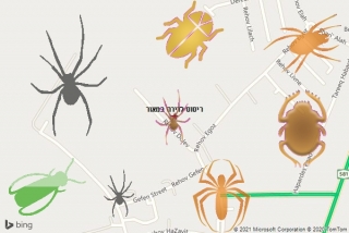 שירות ריסוס במאור - ריסוס לדירה במאור