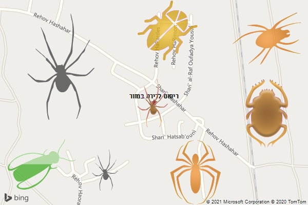 ריסוס לדירה במזור