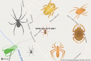 שירות ריסוס בבית גמליאל - ריסוס לדירה בבית גמליאל
