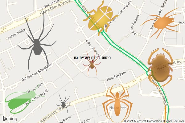 ריסוס לדירה בקריית גת