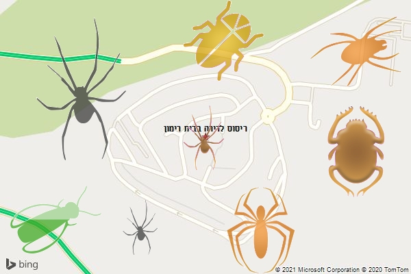 ריסוס לדירה בבית רימון