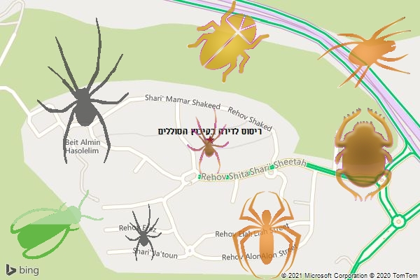 ריסוס לדירה בקיבוץ הסוללים