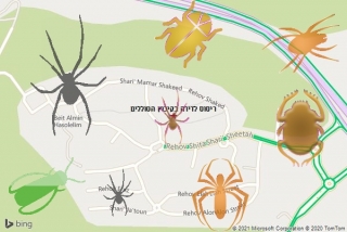 שירות ריסוס בקיבוץ הסוללים - ריסוס לדירה בקיבוץ הסוללים