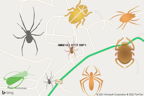 ריסוס לדירה בעראמשה