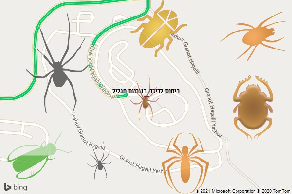 ריסוס לדירה בגורנות הגליל