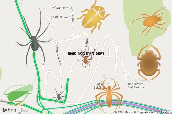 ריסוס לדירה בבית נקופה