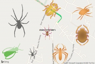 שירות ריסוס בחגלה - ריסוס לדירה בחגלה