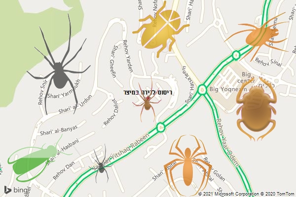 ריסוס לדירה במיצר