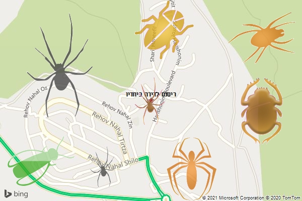 ריסוס לדירה ביחדיו
