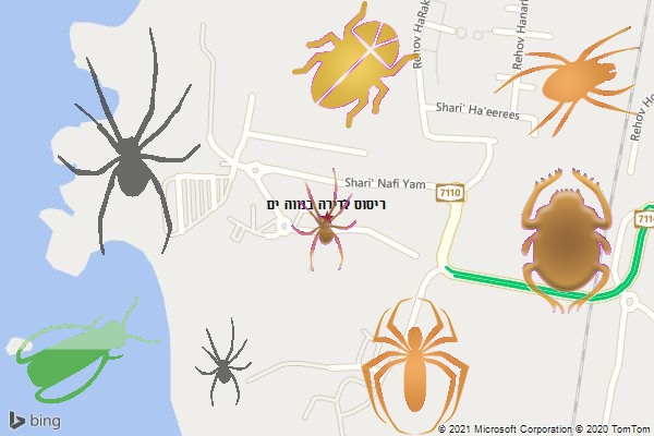 ריסוס לדירה בנווה ים