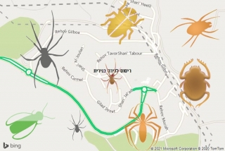 שירות ריסוס בנירית - ריסוס לדירה בנירית