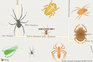 שירות ריסוס בתפרח - ריסוס לדירה בתפרח