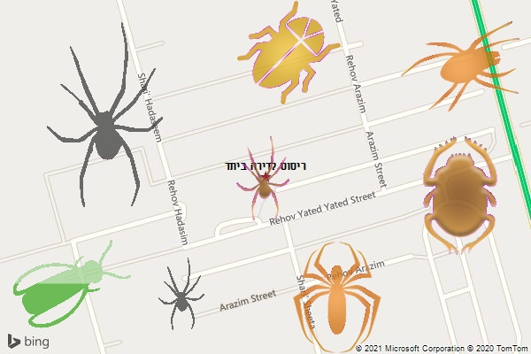ריסוס לדירה ביתד